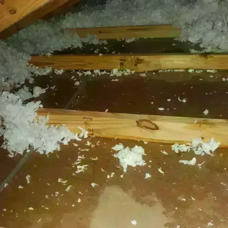 Attic Water Damage in Earlington, KY